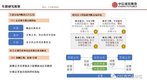 近期農產品市場展望 機遇與挑戰并存