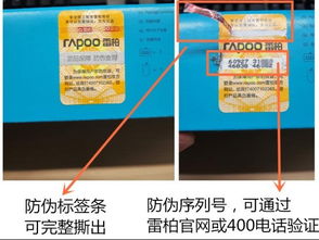 自動化助力信息化升級 雷柏產品查詢系統革新信息咨詢體驗